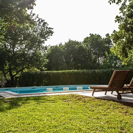 Villa Parun Made For Leisure & Pleasure